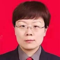 夏琴